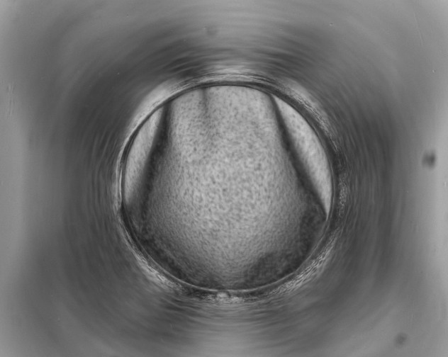 X0000098201370200805081101