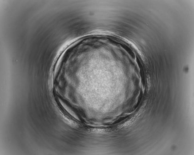 X0000098201371200805081101