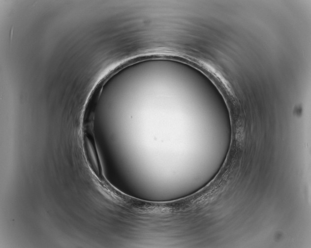 X0000098201372200805081101