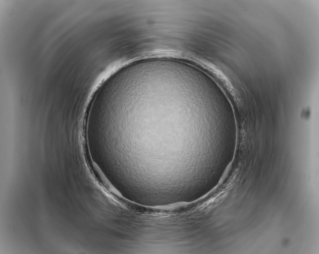 X0000098201373200805081101