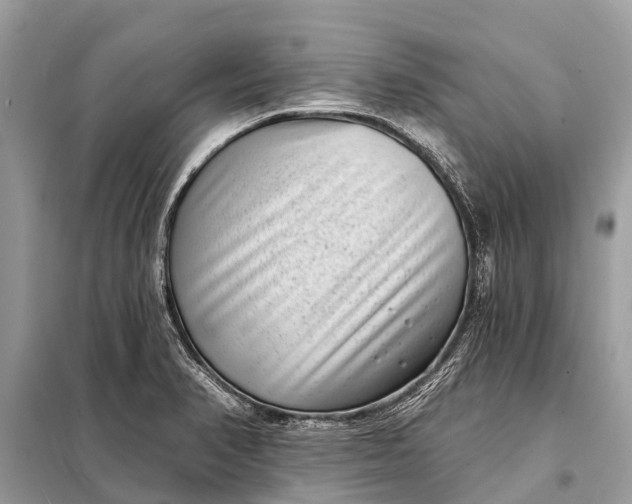 X0000098201374200805081101
