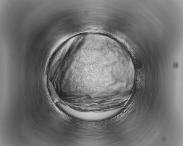 X0000098201375200805081101