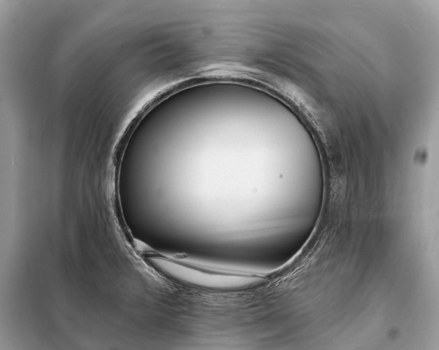 X0000098201376200805081101