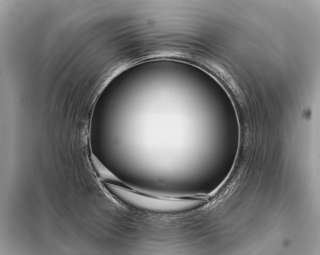 X0000098201377200805081101