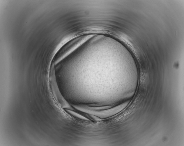 X0000098201378200805081101