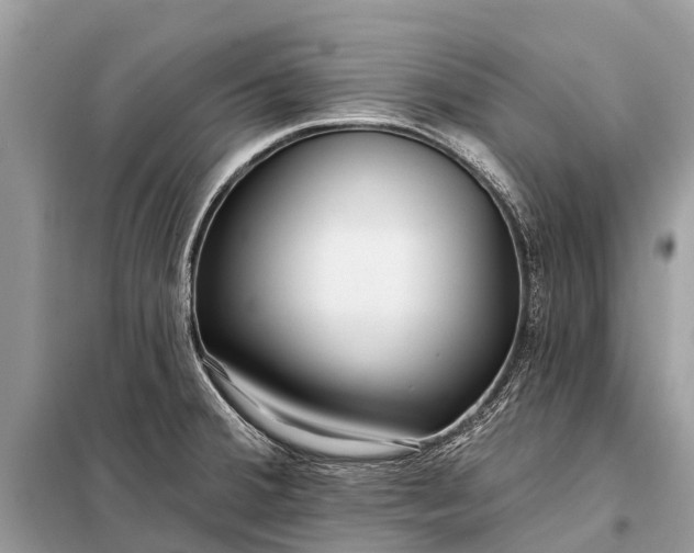 X0000098201380200805081101