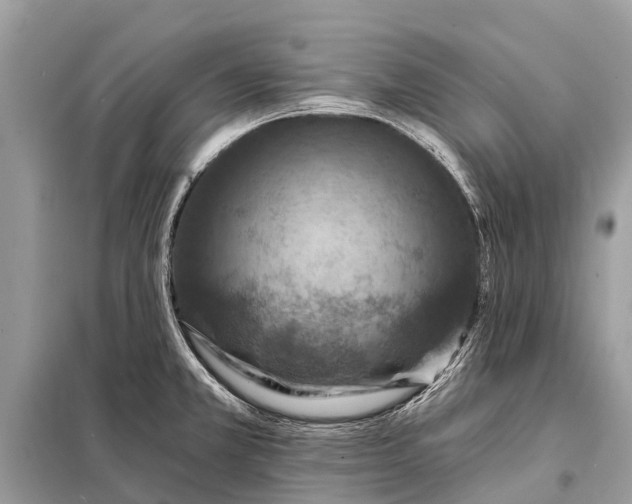 X0000098201381200805081101