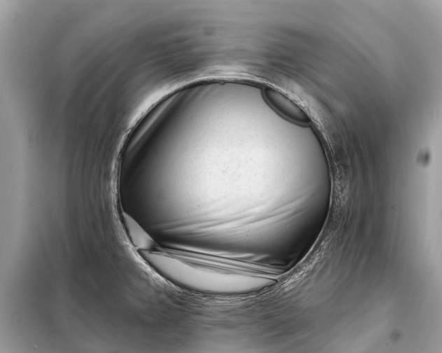 X0000098201382200805081101