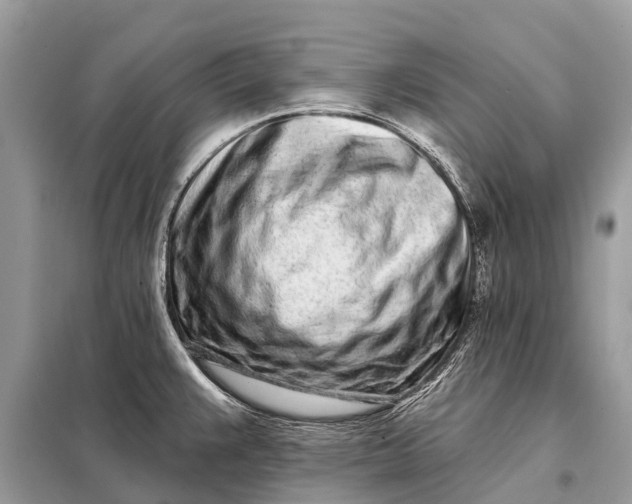 X0000098201383200805081101