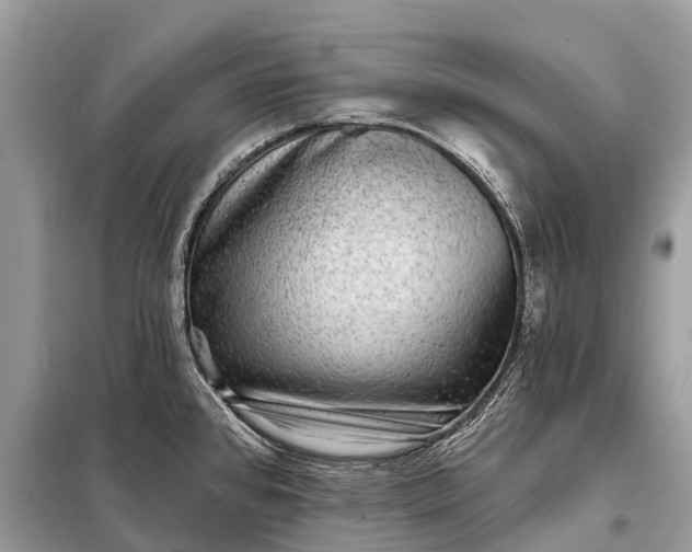 X0000098201384200805081101