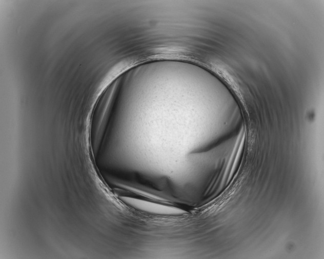 X0000098201386200805081101