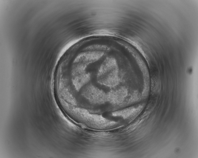 X0000098201387200805081101