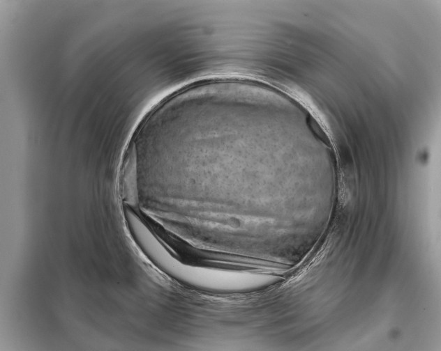 X0000098201388200805081101