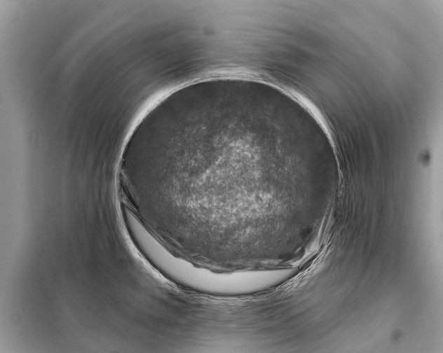 X0000098201389200805081101