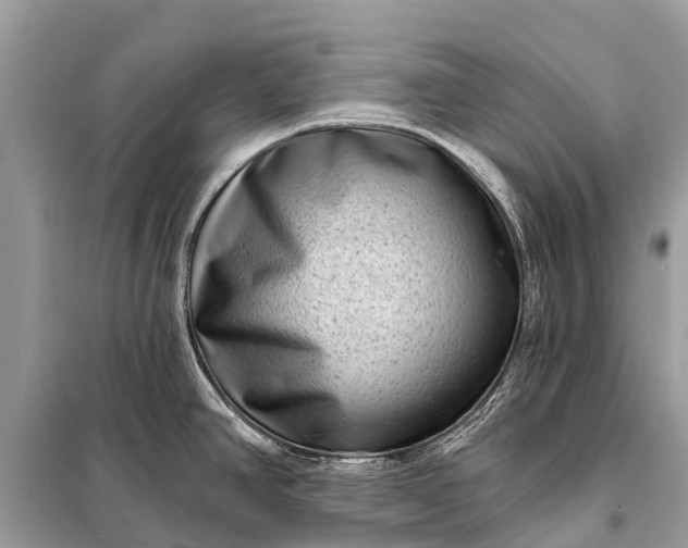 X0000098201390200805081101