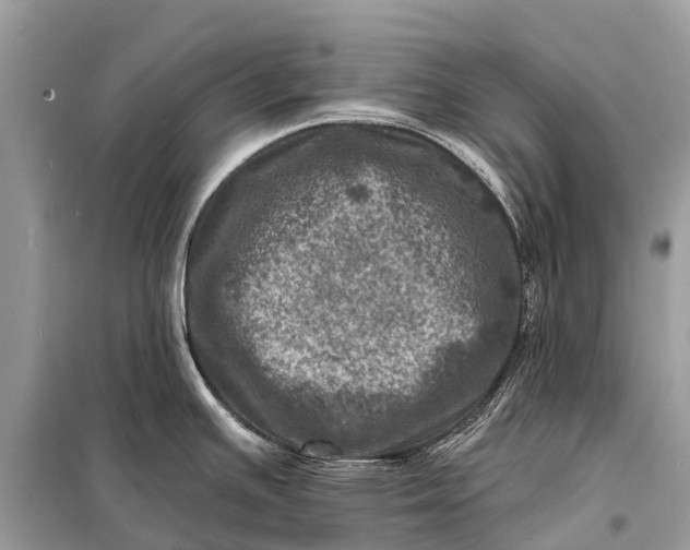 X0000098201391200805081101