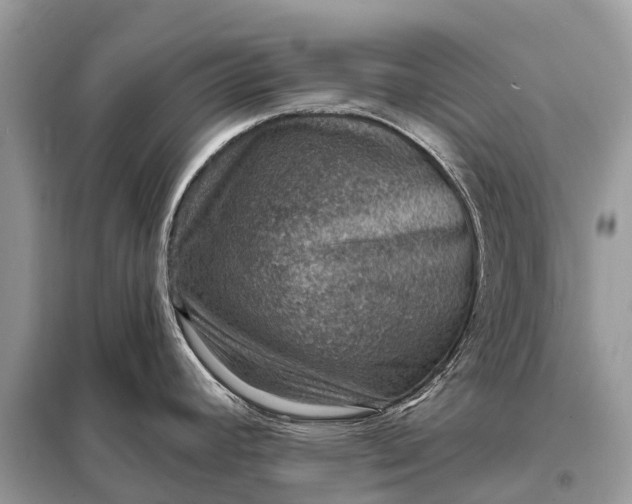 X0000098201392200805081101