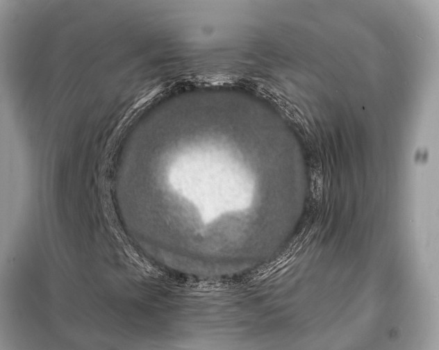 X0000098201393200805081100