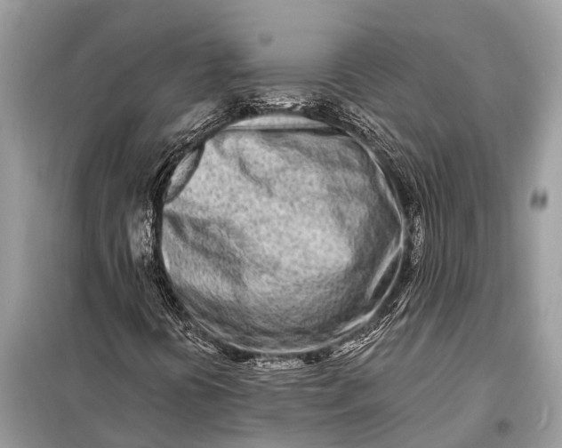 X0000098201394200805081100