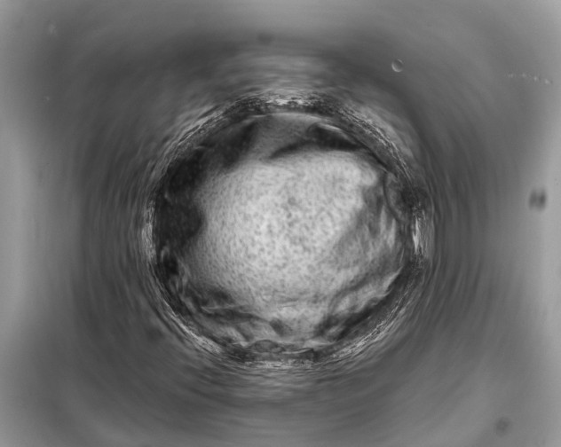 X0000098201396200805081100