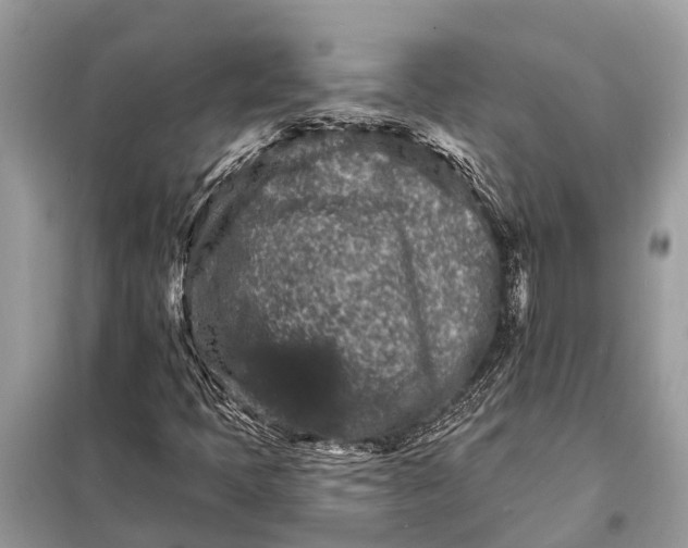 X0000098201397200805081100