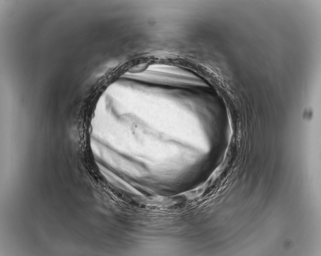 X0000098201398200805081100