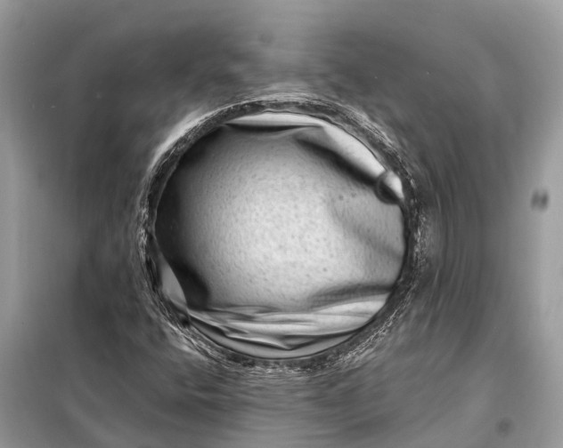 X0000098201400200805081100