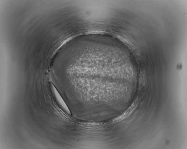 X0000098201401200805081100