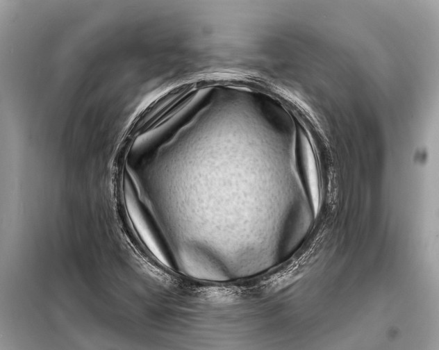 X0000098201404200805081100