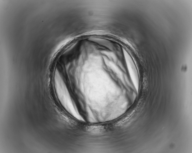 X0000098201406200805081100