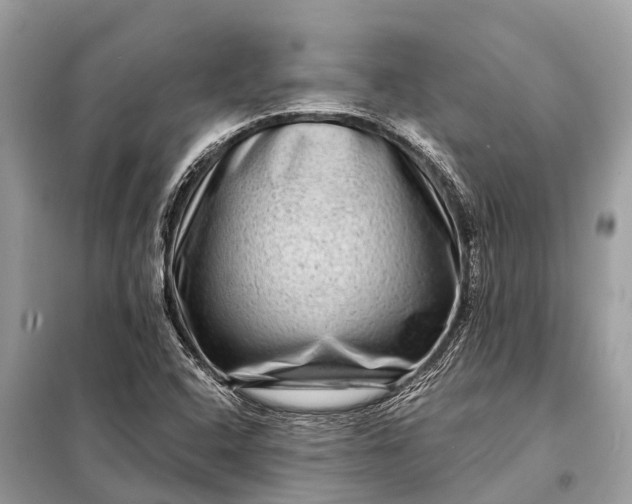 X0000098201408200805081100