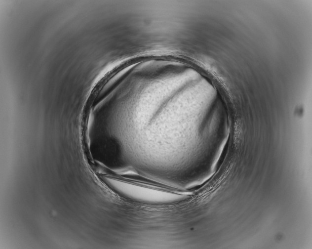X0000098201412200805081100