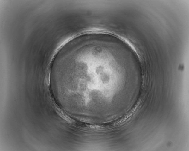 X0000098201413200805081100