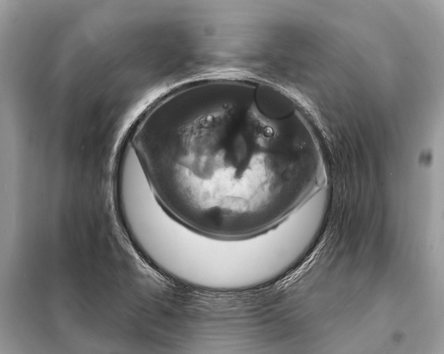 X0000098201414200805081100