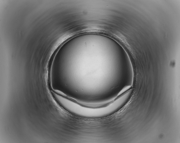 X0000098201418200805081101