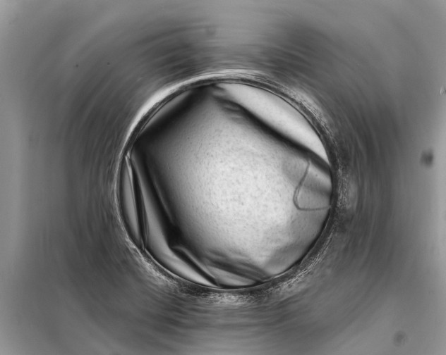 X0000098201420200805081101