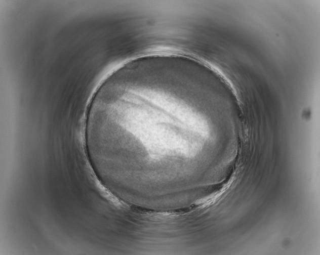 X0000098201421200805081101