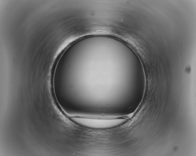 X0000098201422200805081101