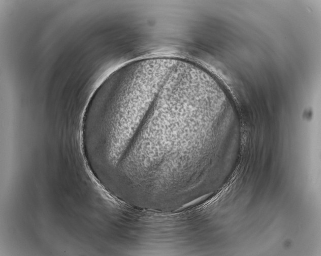 X0000098201423200805081101