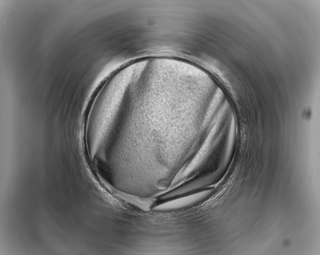 X0000098201424200805081101