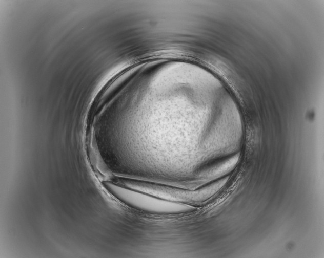 X0000098201426200805081101