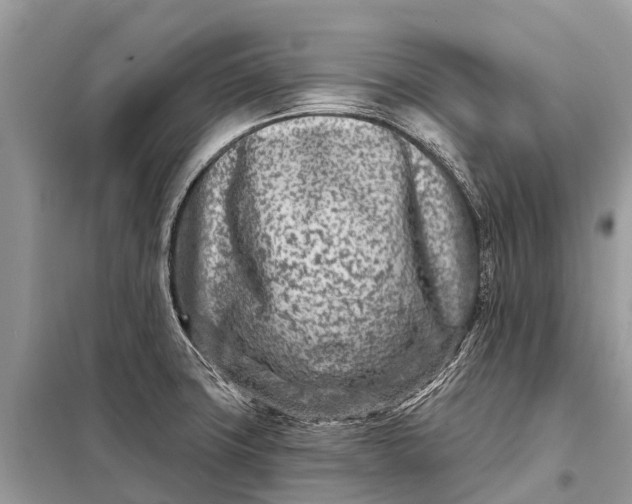 X0000098201427200805081101