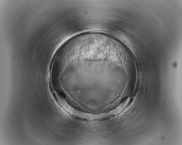 X0000098201428200805081101