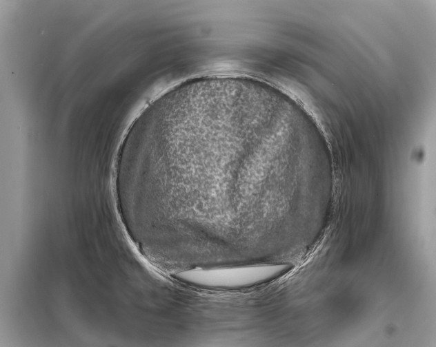 X0000098201429200805081101