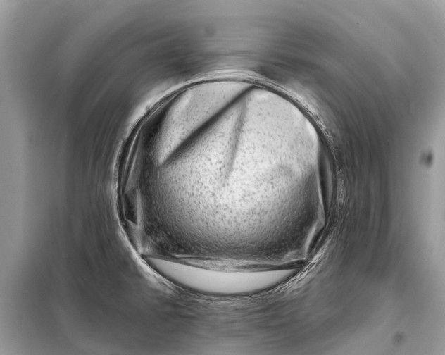 X0000098201430200805081101
