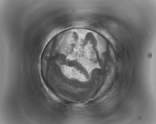 X0000098201431200805081101