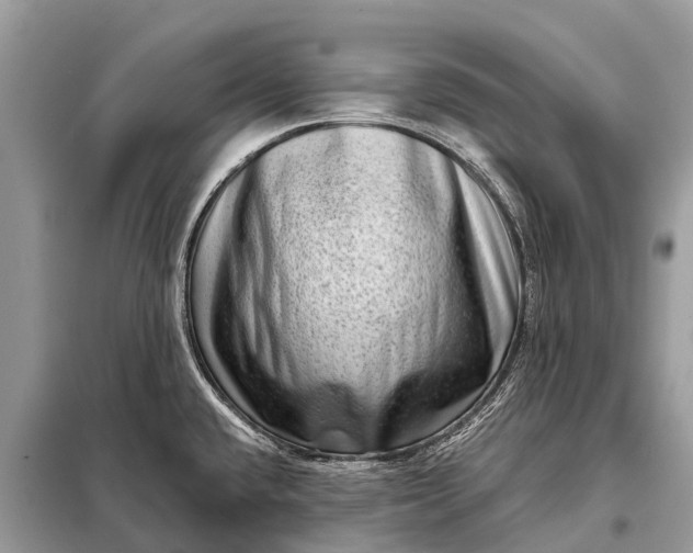 X0000098201432200805081101