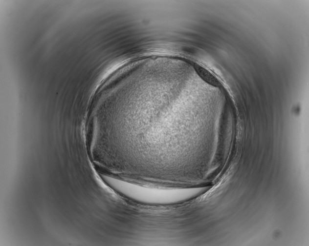 X0000098201433200805081101