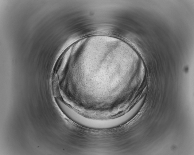 X0000098201434200805081101