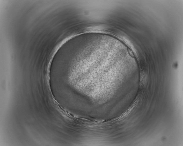 X0000098201435200805081101